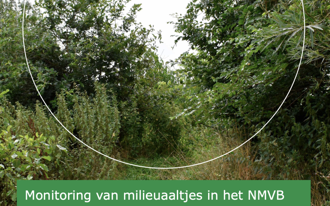 Monitoring van milieuaaltjes in het NMVB